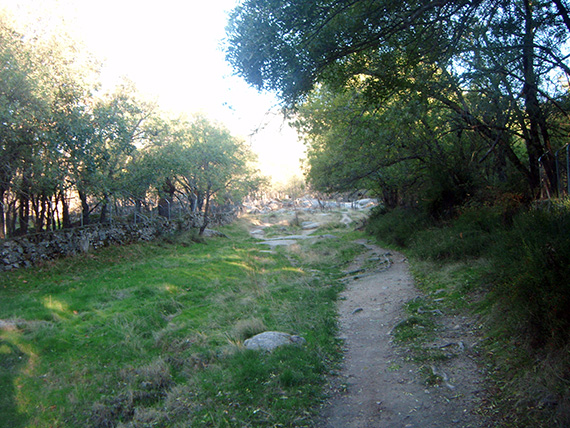 Ruta de Colmenar Viejo al puerto de Cotos. Octubre 2012