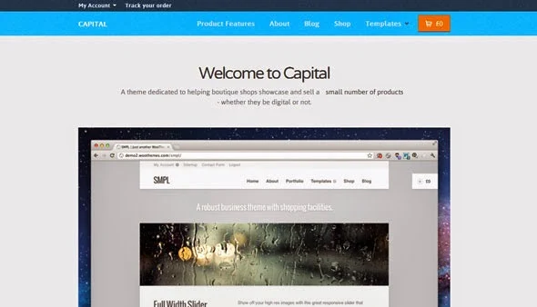 Capital Wordpress Template
