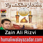 http://www.humaliwalayazadar.com/2016/06/syed-zain-ali-rizvi-nohay-2014-to-2017.html