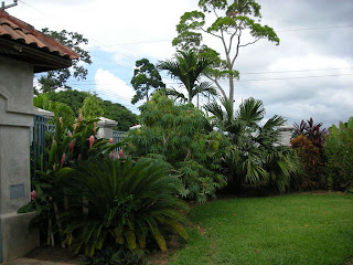 garden, La Ceiba, Honduras