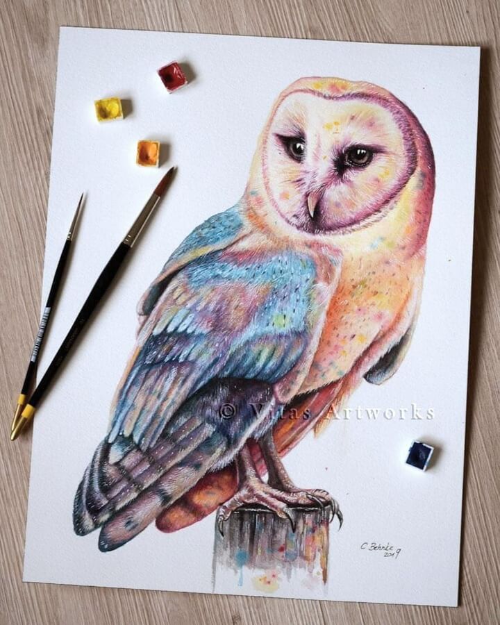 07-barn-owl-animal-art-von-caroline-behnke-www-designstack-co