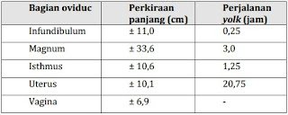 Sistem Reproduksi Unggas Betina