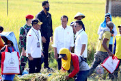 Presiden Didampingi Menteri Pertanian Panen Raya Padi Nusantara Sejuta Hektar