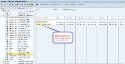 Financial Statement Analysis by using Report Painter