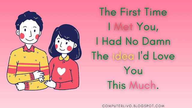 The First Time I Met You, I Had No Damn Idea I'd Love You This Much.