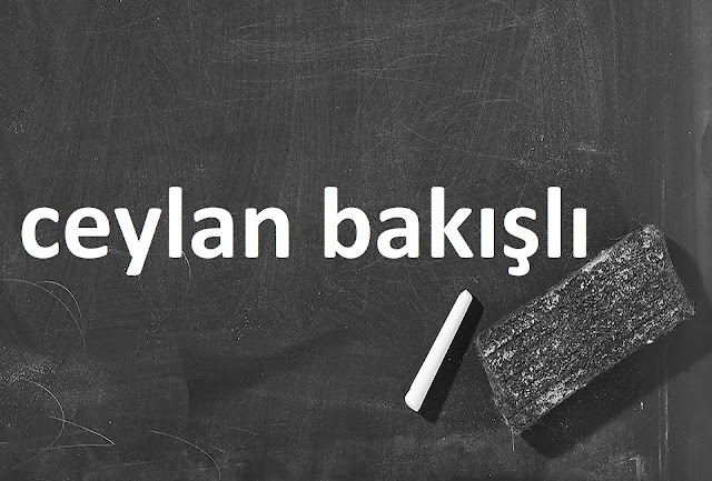 ceylan bakışlı