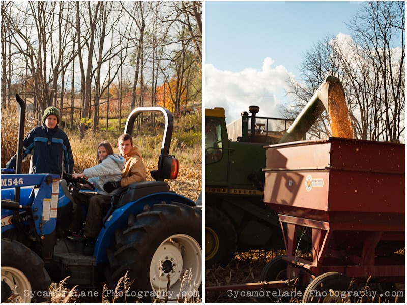 cornharvest-1