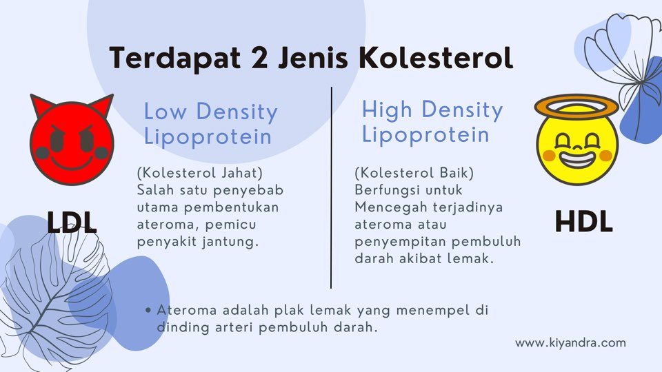HDL & LDL Kolesterol tinggi baik dan jahat