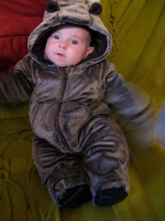 Pram suit in Bear by Mothercare