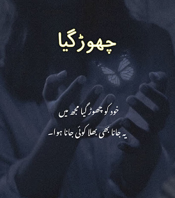 35+ Beautiful Amazing Urdu Quotes DP About Daily Life with Pictures