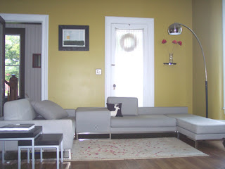 Living Room Colors