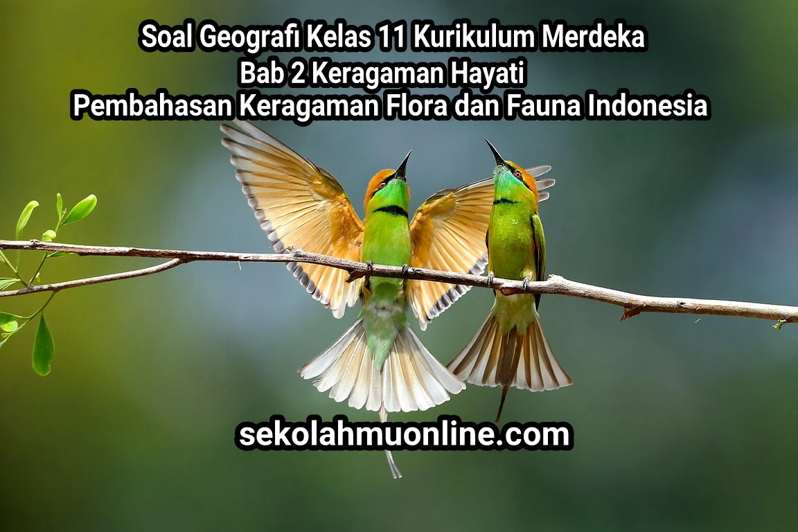 Soal Geografi Kelas XI Kurikulum Merdeka Bab 2 Keragaman Hayati Pembahasan Keragaman Flora dan Fauna Indonesia