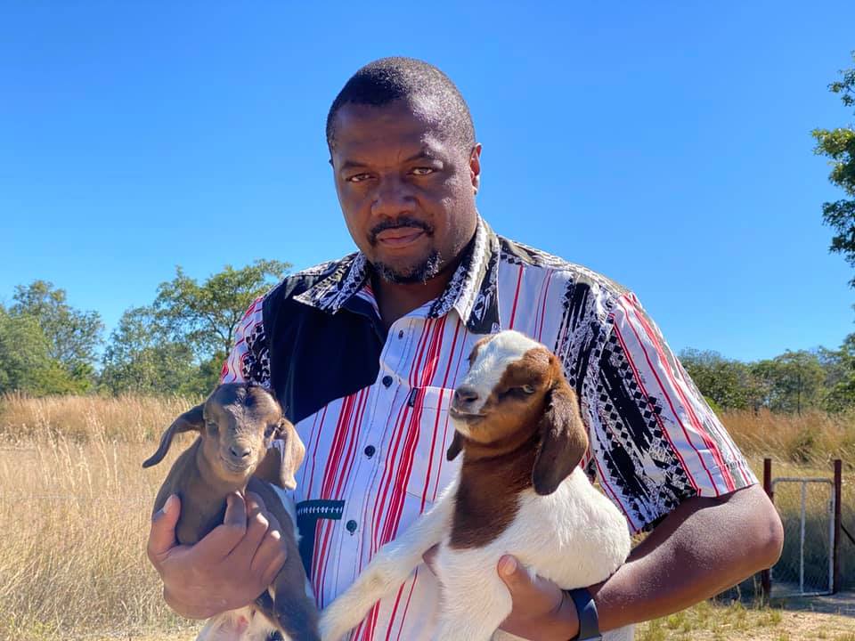 Zimbabweans Form Human Shield to Defend Chin'ono's Boer Goats, Property from Seizure by Zanu PF Activist!