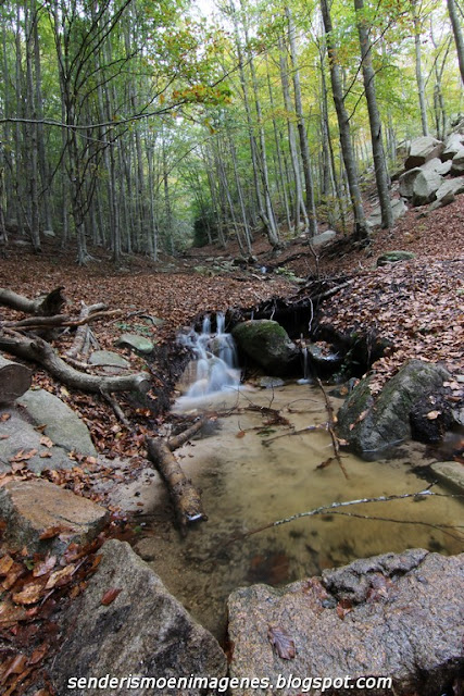 Turó i empedrat de Morou (Montseny)