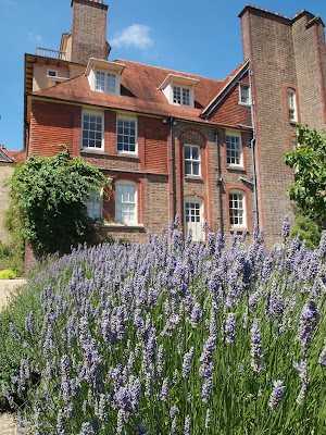 Lavendar bushes at Standen, Sussex