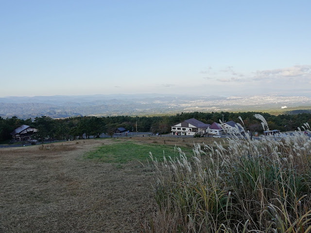 大山 桝水高原からの眺望