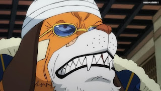 ワンピースアニメ 1025話 イヌアラシ | ONE PIECE Episode 1025