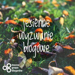 http://mocnagrupablogerow.pl/jesienne-wyzwanie-blogowe/