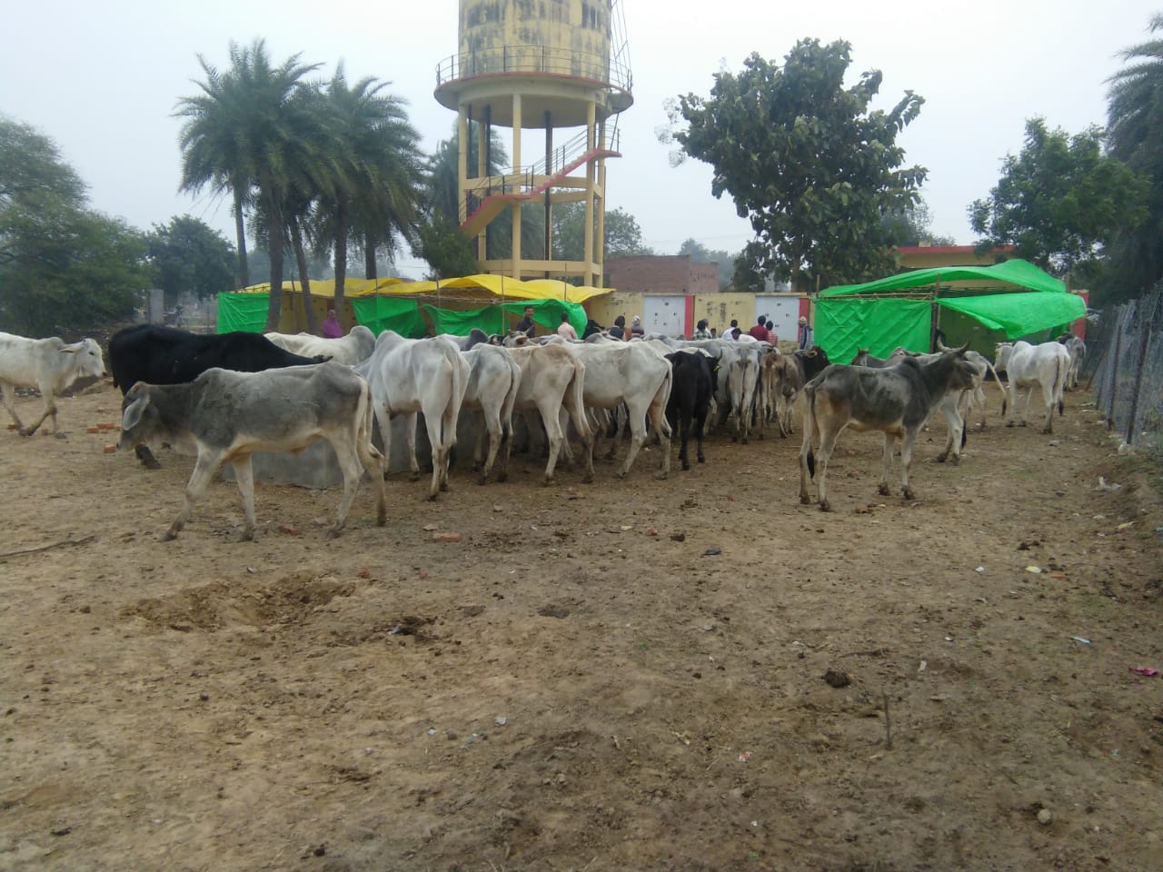 चित्र