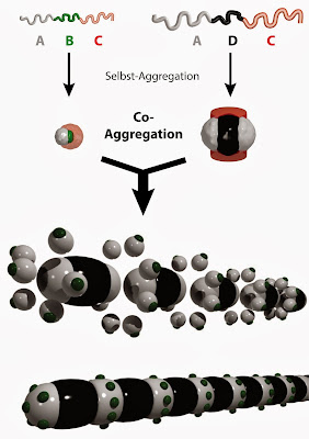 programmed nanoparticles into highly complex nanostructures