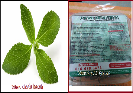 Lynn Munirand i will do it my way: Daun stevia