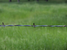 Fil de fer barbelé posant les limites d'un champ, d'un ranch, d'une propriété.