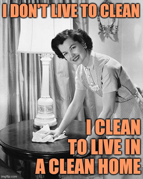 I don't live to clean; I clean to live in a clean home (JenExxifer | GenX Housewife Memes)