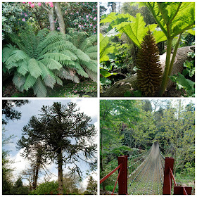 The Lost Gardens of Heligan