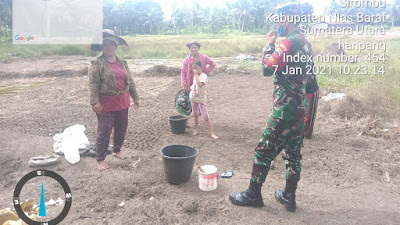 Babinsa Koramil - 09/Sirombu Melaksanakan Pendampingan Petani Dalam Membibit Tanaman Padi