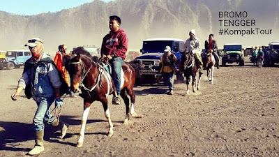 Tour Bromo dan Sewa Jeep Bromo Murah