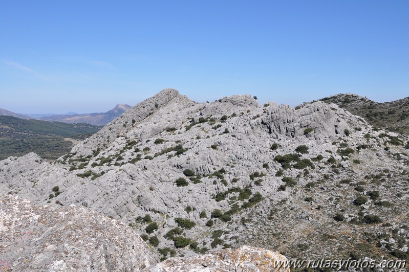 Subida al Cerro de Zurraque y Tinajo