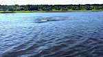 River Made with CSS-Codingyan