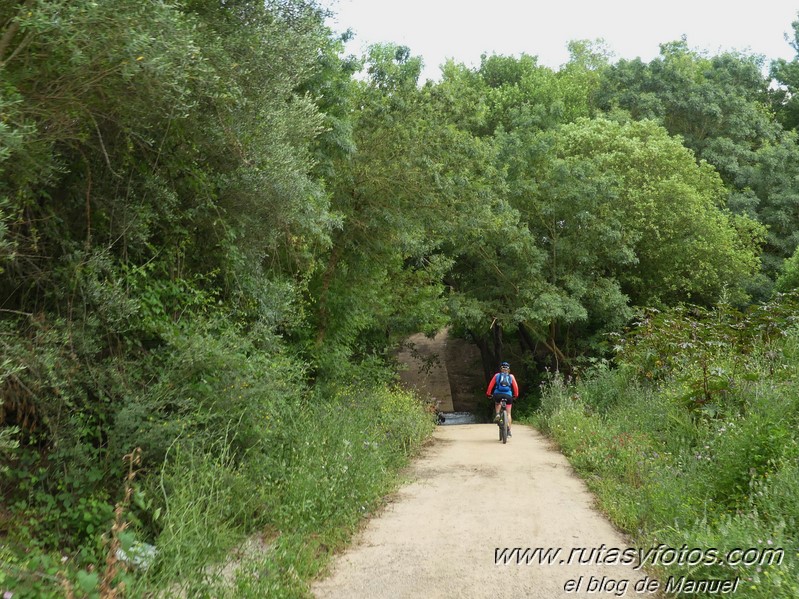 Tramo III del Corredor Verde Dos Bahías en bici