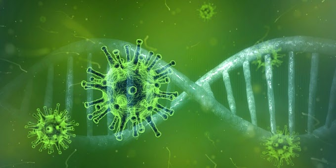 Symptoms of Corona Virus and How to Protect Yourself