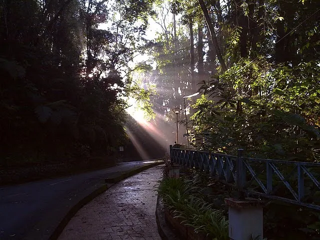 Fraser's Hill at 8.20am