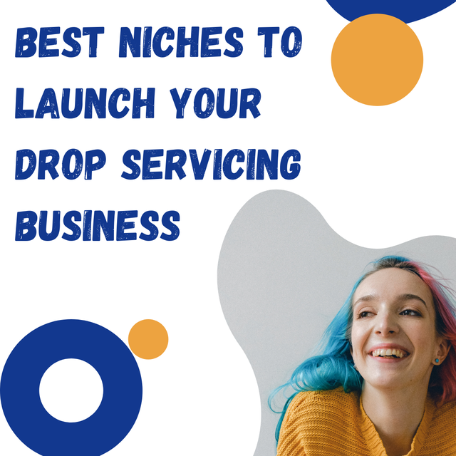 Niches  Drop Servicing Business