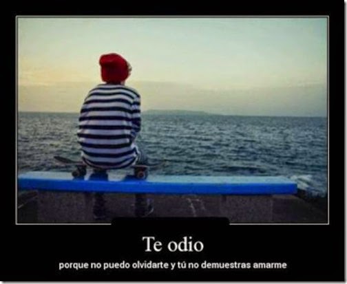 blogdeimagene (92)