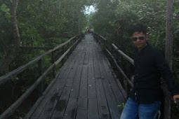 Mangrove Mengkapan | Keindahan Ekowisata Siak ( Lokasi dan Fasilitas )