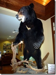 Big Bear!