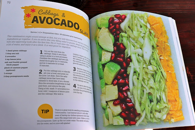 raw food book