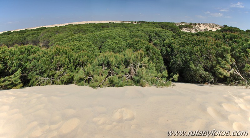 Parque Nacional de Doñana