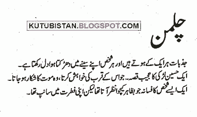 Chilman Full Urdu Novel.
