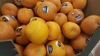 Pumpkins, glorious plump pumpkins!