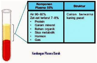 Pengertian Plasma Darah dan Kandungannya serta Fungsinya