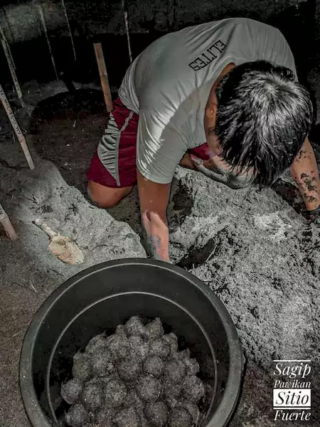 Sagip Pawikan Sitio Fuerte Morong Bataan