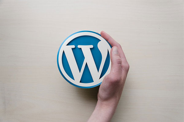 Top 7 Reasons to Use WordPress