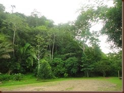 DSC04595
