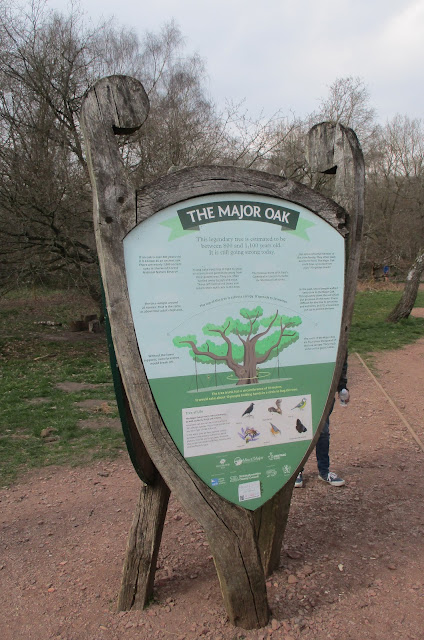 Sherwood Forest