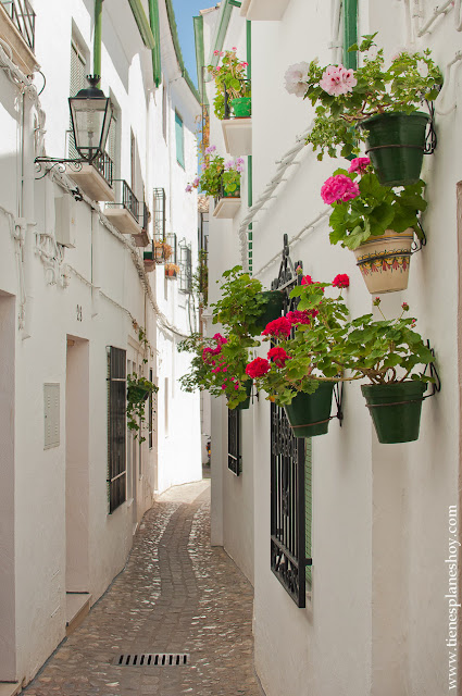 Priego de Córdoba visitar turismo viaje pueblo encanto