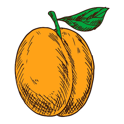 70+ Cartoon images of Apricot fruit